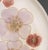 Denby Floral Pottery Partial Dinner Service Set, 17 Pieces For Sale - Image 15 of 17