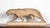1930s Henri Bargas, Sculpture of a Lioness, Terracotta, 1930s For Sale - Image 5 of 16