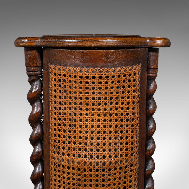 Brown 1910's Antique Cylindrical Stick Stand For Sale - Image 8 of 11