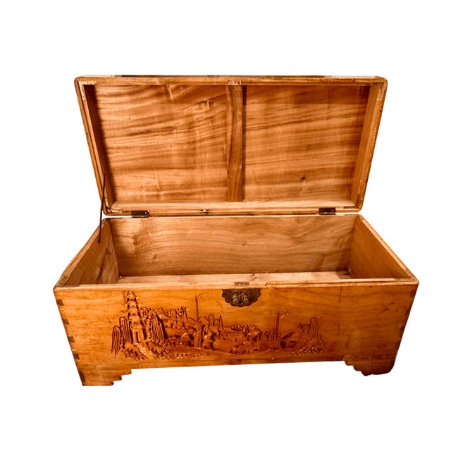 Hand Carved Asian Hope Chest For Sale - Image 12 of 12