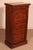 19th Century 19th Century Walnut Wellington Chest of Drawers For Sale - Image 5 of 13