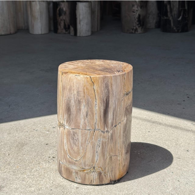 Small Side Table in Beige-Grey and Petrified Wood, 1980s For Sale - Image 14 of 18