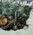 Mid 20th Century Vintage Framed Botanical Lithograph Featuring Alpine Snowbells For Sale - Image 5 of 8