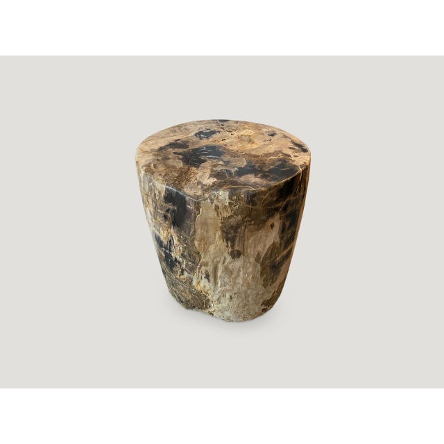 15th Century & Earlier Andrianna Shamaris Impressive Tiger Toned High Quality Petrified Wood Side Table For Sale - Image 5 of 5