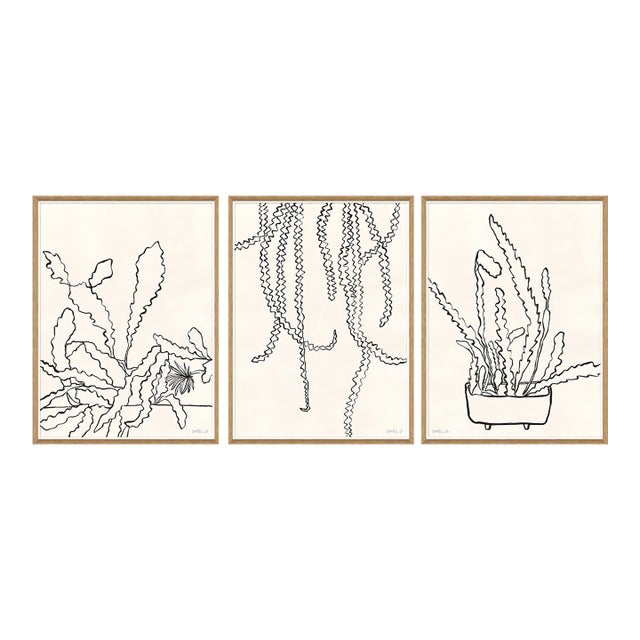 Sedum, Peregrina I and II by Susan Hable For Sale