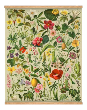 Antique 'Spanish Botanical' Wall Hanging