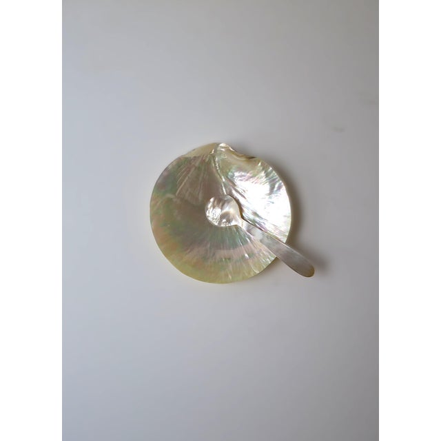 Contemporary Caviar Mother of Pearl Dish and Spoon For Sale - Image 3 of 5