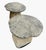 2000 - 2009 Pair of Vintage Rustic Cast Stone Mushroom Garden Ornaments For Sale - Image 5 of 12