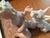 Very sweet figurine of a boy with a scottie dog. He has a comb and the dog has his paws on his knees so cute. Made in...