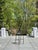 Janus Et Cie “Forest” Low Back Barstools by Ramon Esteve (1–16 Available) For Sale - Image 11 of 17