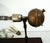 Industrial Antique Crookes Tube in Wenge Wood, 1890s For Sale - Image 3 of 12