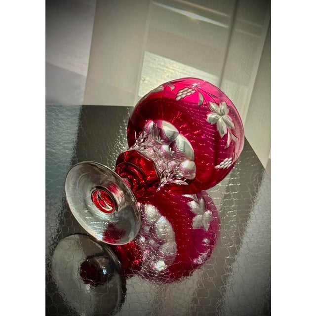 Vintage Vignes Ruby Crystal Wine Goblets from Val Saint Lambert, 1950, Set of 10 For Sale - Image 13 of 18