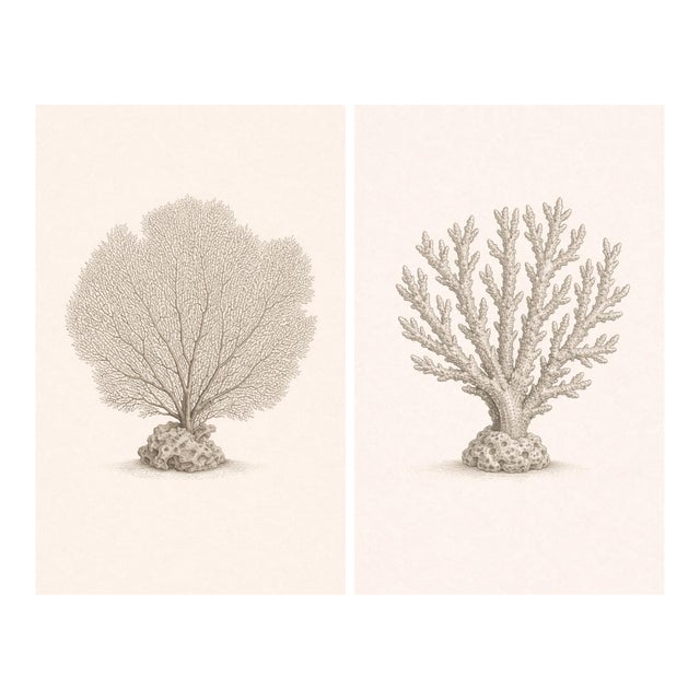Coastal Coral Study Set, Minimal Botanical Art Prints, 24" × 36" (Set of 2) For Sale