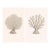 Coastal Coral Study Set, Minimal Botanical Art Prints, 24" × 36" (Set of 2) For Sale