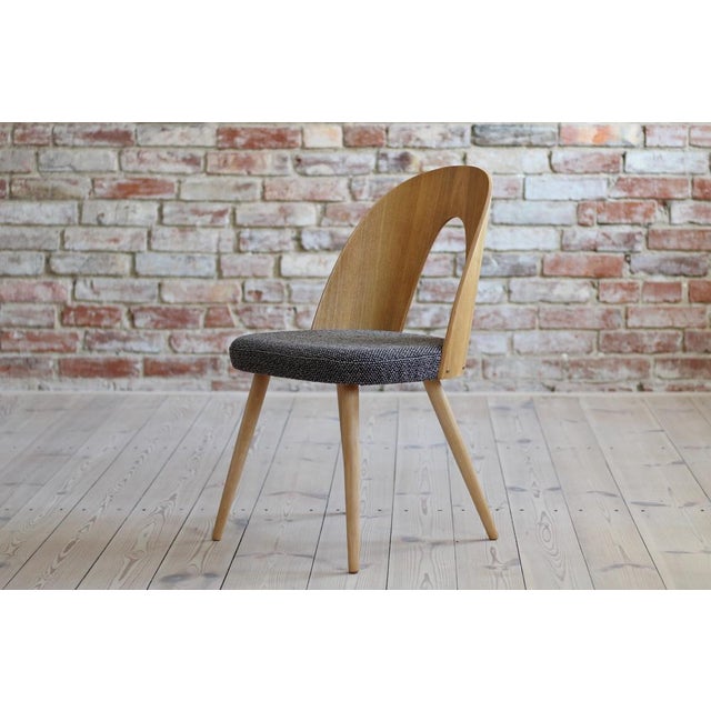 Wood Mid-Century Dining Chairs by A. Suman, Set of 10 For Sale - Image 7 of 17