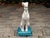 Vintage Italian Midcentury Porcelain Greyhound Dog Sitting on Blue Cushion For Sale - Image 4 of 11