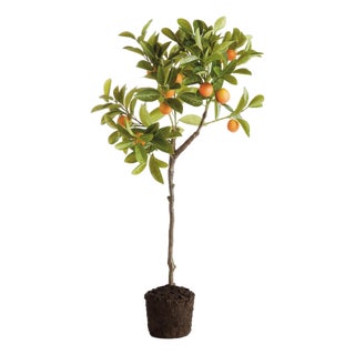 Faux Kumquat Tree Drop-In 33" For Sale