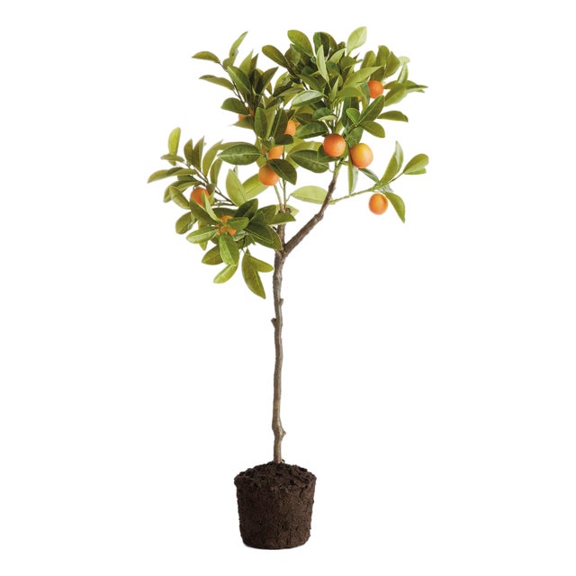Faux Kumquat Tree Drop-In 33" For Sale