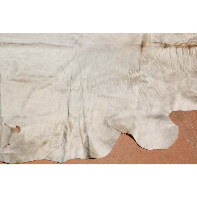 Hand-Crafted White Cowhide Rug from Argentina, Folk Art Style, 1980 For Sale - Image 12 of 18
