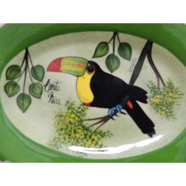 Boho Chic Hand-Painted Decorative Plate Depicting a Tucan For Sale - Image 3 of 9