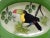 Boho Chic Hand-Painted Decorative Plate Depicting a Tucan For Sale - Image 3 of 9