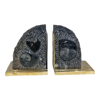 Ammo Fossil Bookends - Pair For Sale