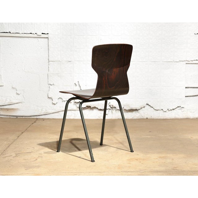 Set of 6 Vintage Bent Plywood Chairs Chairish