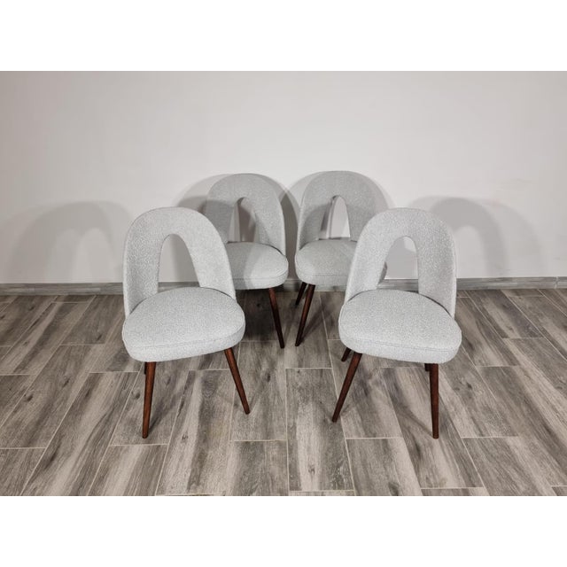 1960s Dining Chairs by Antonin Suman, 1960s, Set of 4 For Sale - Image 5 of 18