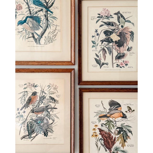 A charming set of four vintage framed offset prints from a series of bird and botanical paintings by Arthur Singer. Each...