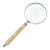 Vintage Decorative Magnifying Glass With Carved Bone Handle and Silver Plate Frame For Sale