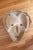 Antique South America Earthenware Mask For Sale - Image 10 of 11
