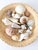 Mid 20th Century Vintage Collected Seashell Collection For Sale - Image 5 of 17