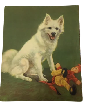 Samoyed Puppy Dog Illustration Print C. 1920s