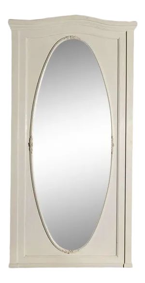 Large Oval Wall Mirror in Painted Frame