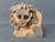 León Sculpture from Fausto Sangiovanni, Orvieto, Italy, 1975 For Sale - Image 6 of 6