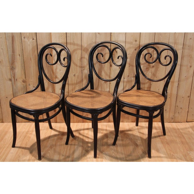 Vintage Chairs by Michael Thonet for Gebrüder Thonet, 1880, Set of 6 For Sale - Image 4 of 13