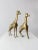 This is a pair of mid 20th century brass giraffe figurines. The dynamic pair feature fantastic sleek lines and etched...