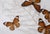 1970s Vintage 1970s Botanical Butterly Taxidermy Acrylic Box Wallhanging For Sale - Image 5 of 11
