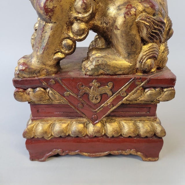 Early Giltwood Chinese Guardian Lion Foo Dog Architectural Carving – 12" High For Sale In Raleigh - Image 6 of 12
