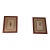 Vintage Framed Botanical Prints After Curtis's Botanical Magazine, Set of 2 For Sale