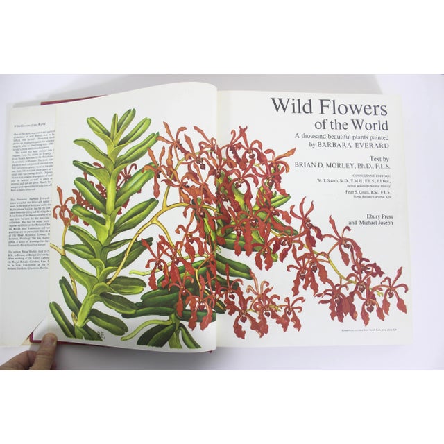 1970 Wildflowers of the World Hardcover Book Wild Flowers Botanical Painted Plants Colorful Flower For Sale - Image 6 of 12
