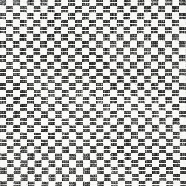 Sample - Schumacher Elkhart Fabric in Black For Sale