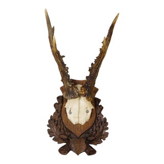 Black Forest Red Deer Trophy on Carved Plaque, Germany 1930s For Sale