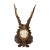 Black Forest Red Deer Trophy on Carved Plaque, Germany 1930s For Sale
