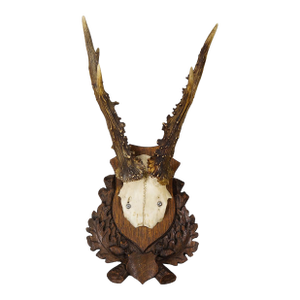 Black Forest Red Deer Trophy on Carved Plaque, Germany 1930s