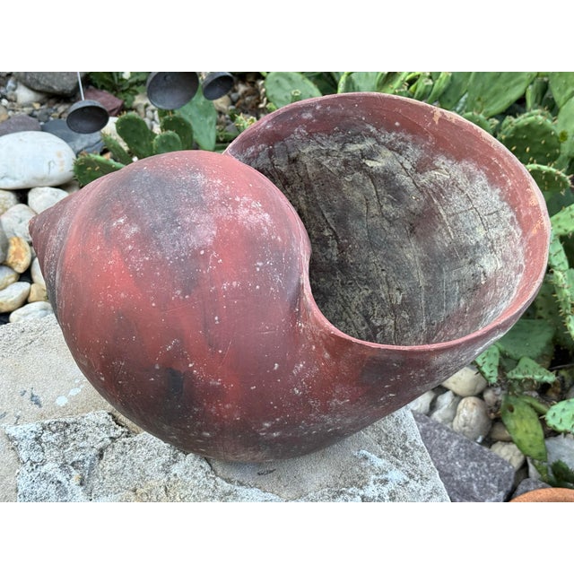 Svenskt Tenn French Terracotta Conch Seashell Planter For Sale - Image 4 of 9