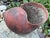 Svenskt Tenn French Terracotta Conch Seashell Planter For Sale - Image 4 of 9