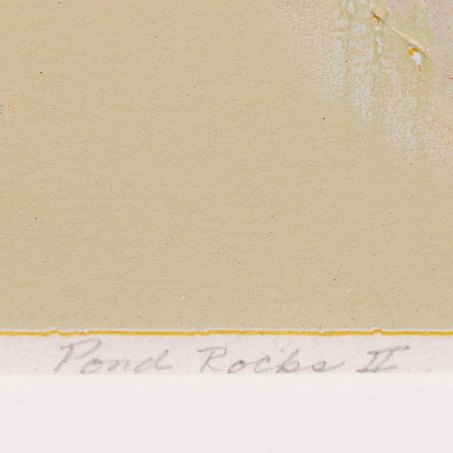 1970s Pond Rocks II by Barbara Romney, 1975 For Sale - Image 5 of 9