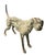 Cast Iron Pointer Dog Sculpture For Sale - Image 4 of 12
