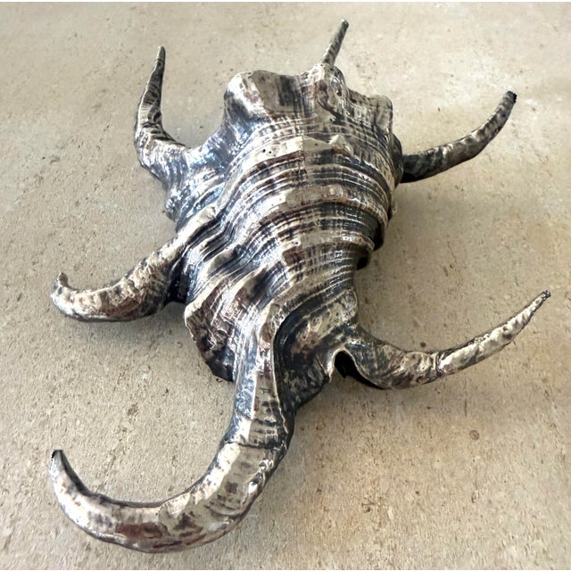 Ruzzetti and Gow Silvered Large Shell For Sale - Image 11 of 12